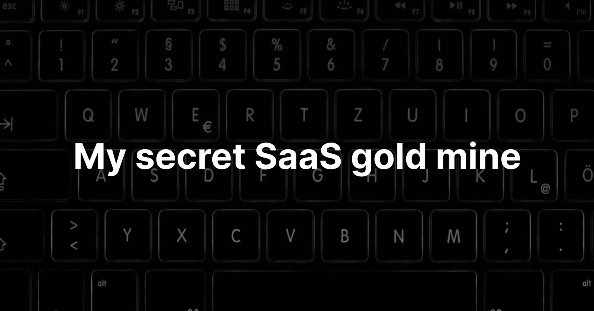 My secret SaaS gold mine