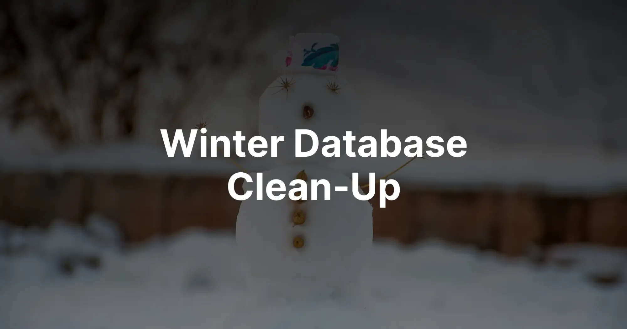 Winter Database Clean-Up