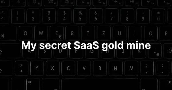 My secret SaaS gold mine